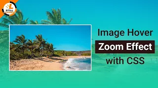 Image Hover Zoom Effect Using HTML CSS Beginner Friendly Tutorial