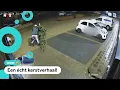 Download Lagu Dief krijgt spijt en brengt gestolen kerstboom terug