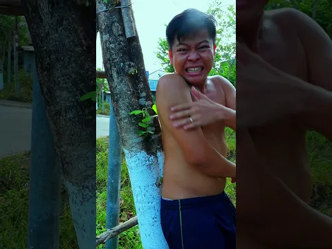 # Clip Thoả Mãn người xem Top Trending Trung Quốc #shorts , #phunganfamily