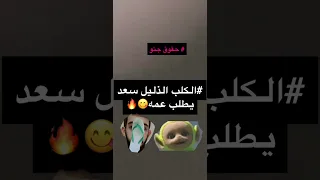 تخضيع الكلب سعد تحت يد عماته 