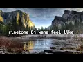 Download Lagu Ringtone Dj Wana feel like