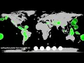 Data Visualization Final assignment