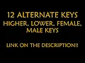 Bea and her Business - Born To Be Alive Karaoke Instrumental Lower Higher Male Original Key