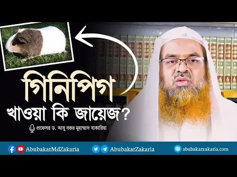 গিনিপিগ খাওয়া কি জায়েজ? প্রফেসর ড. আবু বকর মুহাম্মাদ যাকারিয়া