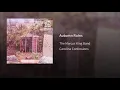 Autumn Rains - The Marcus King Band