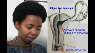 ibice bigize imyanya myibarukiro y abantu ndetse n akamaro kayo amagi y umugore yose arayavukana