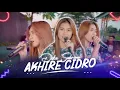 Download Lagu DIKE SABRINA - AKHIRE CIDRO ( Official Music Video )