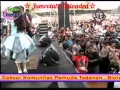 Download Lagu New Pallapa Api Asmara Gerry ft Tasya Live in Todanan Blora