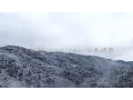 Download Lagu Lion And The Lamb (Official Lyric Video) - Leeland | Have It All