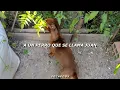 El paraíso de los perros  - El Kuelgue | Letra
