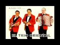 Download Lagu EL TRIO ORIENTAL (enganchados bailables)