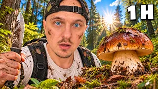 SPĘDZIŁEM 12 GODZIN W LESIE ILE GRZYBÓW ZNAJDĘ?