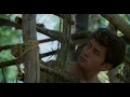 Badlands 1973 - Treehouse