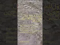 Download Lagu Ayat Al Qur'an Harian (surah An Nahl Ayat 5)