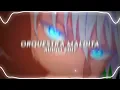 orquestra maldita - trashxrl「 edit audio 」