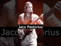 Download Lagu The Life and Death of Jaco Pastorius