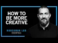 Optimize Your Learning Creativity With Science-Based Tools Huberman Lab Essentials Brain opti