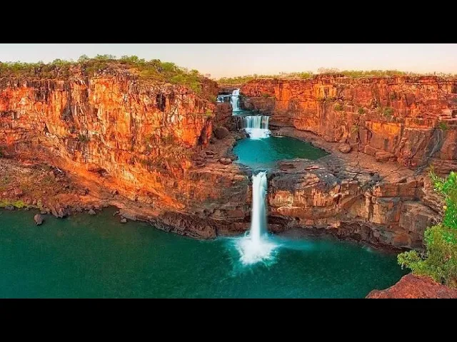 ავსტრალია | ფლორა და ფაუნა | ჩვენი პლანეტა
