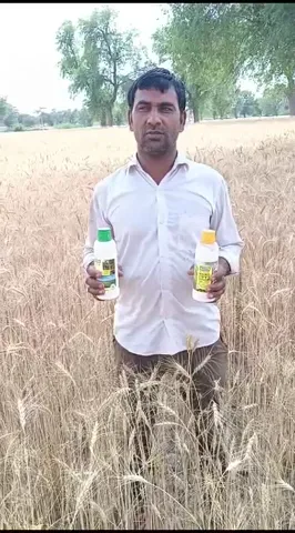 बीकानेर के किसान की कैसे चमकी किस्मत | वनइंडिया हिंदी