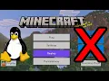 How I Got Minecraft Bedrock Running on Linux
