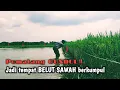 MUDAH BANGET‼️ MANCING BELUT SETELAH SAWAH KEBANJIRAN 