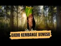 Catur Arum - DADIO KEMBANGE BONGSO (Official Music Video)