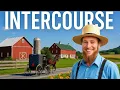 Amish Adventures Jamestown to Intercourse