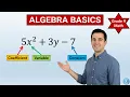 Algebra Basics Polynomials Made Easy Full Lesson