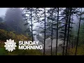 Nature Olympic Peninsula in Washington State