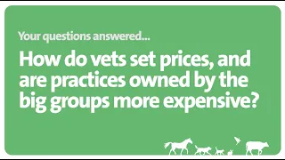 How do vets set prices IVC Evidensia