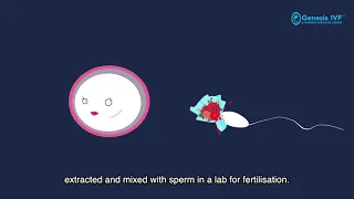genesis ivf u0026 womens specialist centre what is ivf
