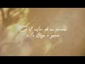 Cara A Cara | Marcos Vidal Feat. Joel Vidal (Video Lyric)