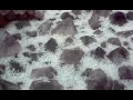 Crystals Falling On Crystals