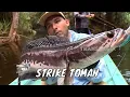 Download Lagu Tarikan Kuat Kerandang dan Toman | MANCING MANIA STRIKE BACK (27/09/25) Part 4