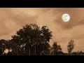 Chand Sifarish - Slowed + Reverb | Shaan, Kailash Kher | Aesthetic Lofi Vibes | Bollywood Lofi