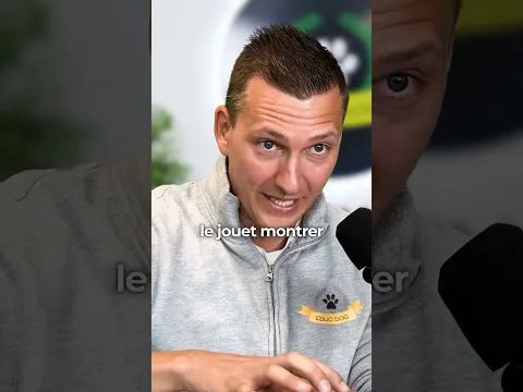 Quel est le piège le plus courant à la maison avec un chiot ?