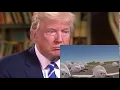 Donald Trump reacts to the bouncing seals