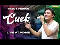 Download Lagu RIZKY FEBIAN - CUEK (LIVE AT HOME)