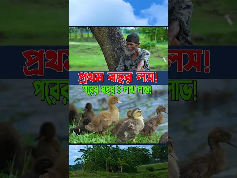 প্রথম বছর লস! 😱 পরের বছর ৪ লাখ লাভ 💰 | হাঁস পালনে কীভাবে ঘুরে দাঁড়ালেন? #shortsvideo