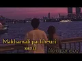 Download Lagu Makhamali pachheuri le sanu muharai chopeko _ Akriti pandey // Lyrics video @royalsonicshahi