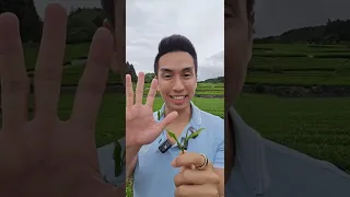 ทำไมการกินโปรตีนจากพืชจึงดีต่อผู้สูงวัย