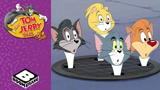 Jerry VS One Naughty  Ant 🐜😂 | Tom and Jerry Tales | Boomerang UK