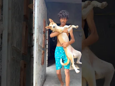 ফালতু মার খেলাম  ? #minivlog #shorts
