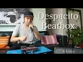 Lagu Despacito Beatbox (Luis Fonsi Cover)【アメリカ修行の旅 #25】
