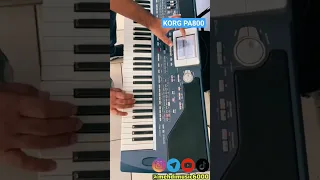 KORG PA800 Mehdimusic6000 Korg Korgpa800 Saz Keyboard کیبورد ساز نوازندگی ارگنوازی 