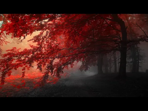 Deep Vocal Liquid Drum and Bass Mix