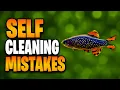 My Self-Cleaning Tank Mistakes And What I d Change