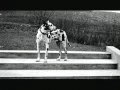 Inheritance - Returning to the Villa