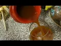 Honduran Pineapple Chicha Pineapple fermented drink