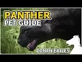 PANTHER Pets Guide CONAN EXILES